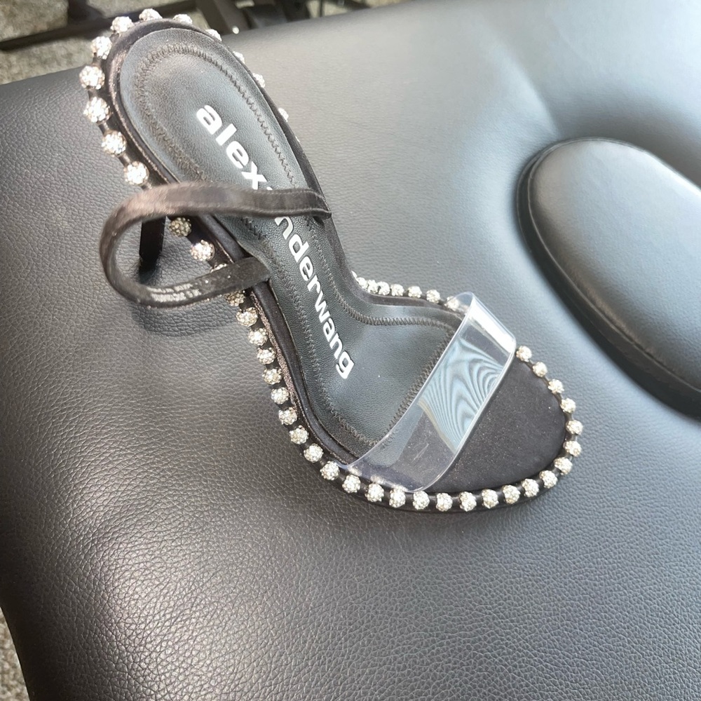 Alexander Wang Nova Crystal Heel!